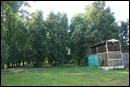 Голубятня в лесочке