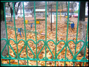Осень на детской площадке